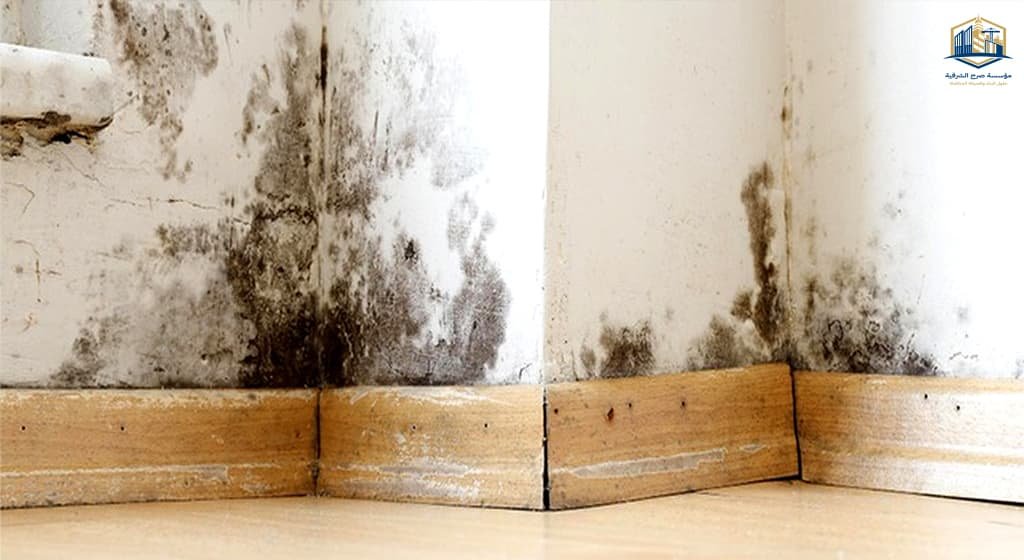 علاج رطوبة الحوائط قبل الدهان