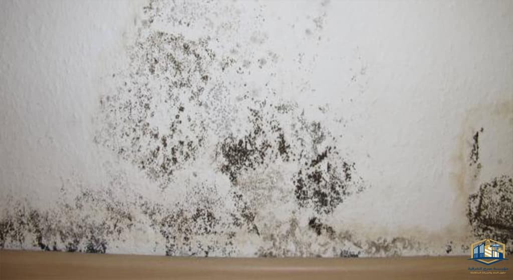 معالجة تسرب المياه الجوفية